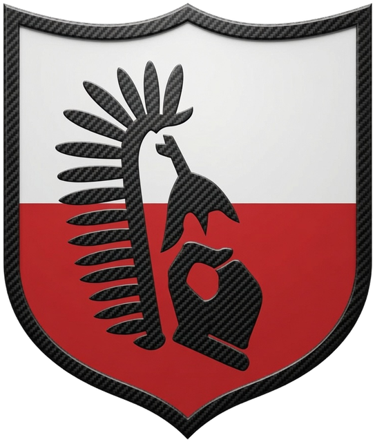 Hussar crest, a Polish winged hussar outlined in carbon fiber on the Polish colors